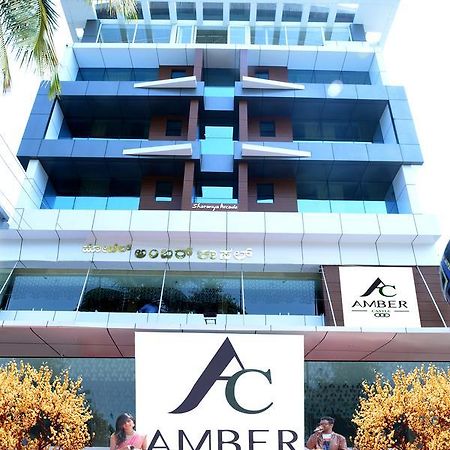 Amber Castle Hotel Hassan Exterior photo